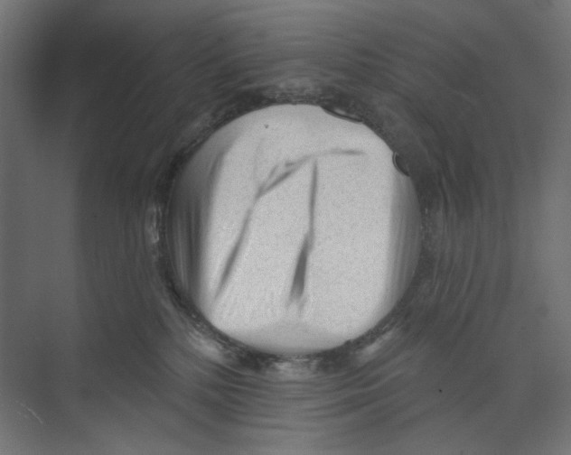 X0000073830232200609071523