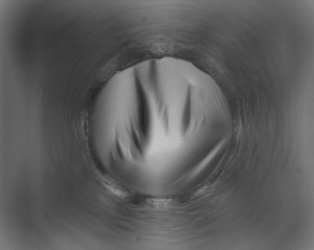 X0000073830233200609071523