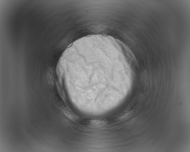 X0000073830234200609071523