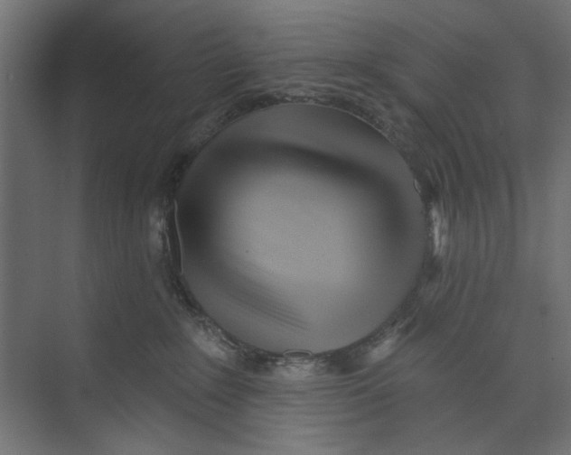 X0000073830235200609071523