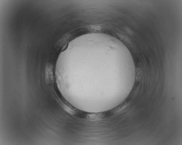 X0000073830238200609071523