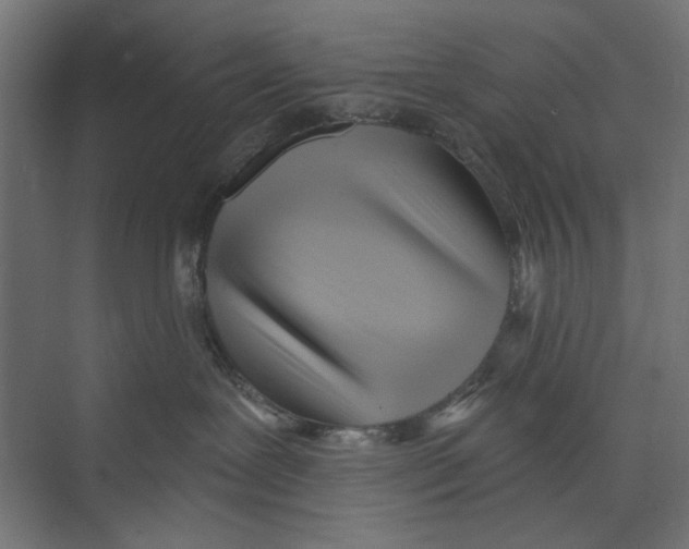 X0000073830239200609071523