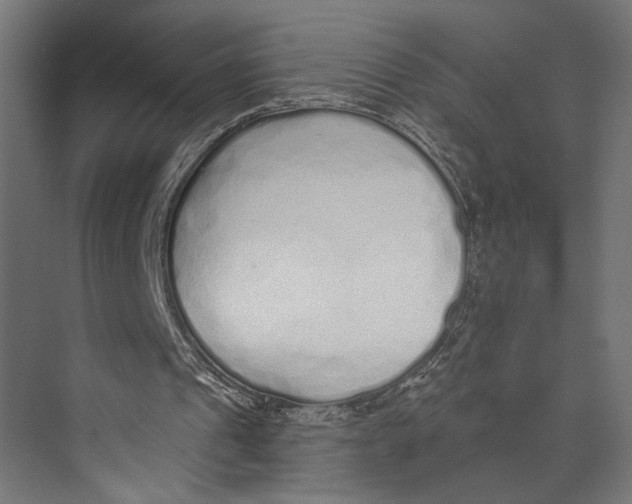 X0000073830241200609071522