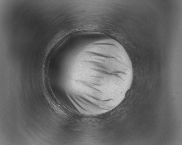 X0000073830242200609071522