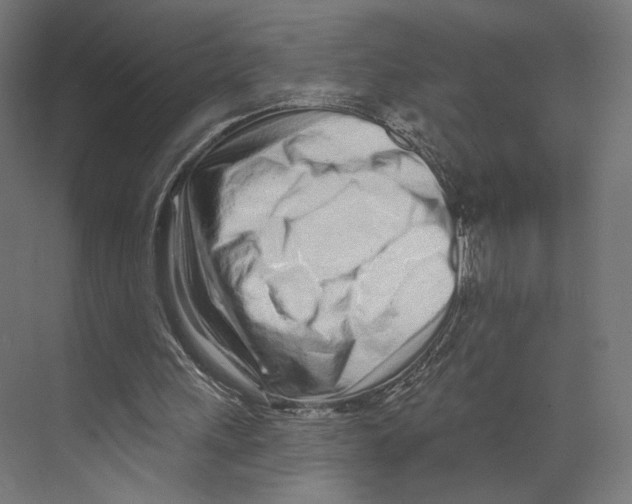 X0000073830243200609071522