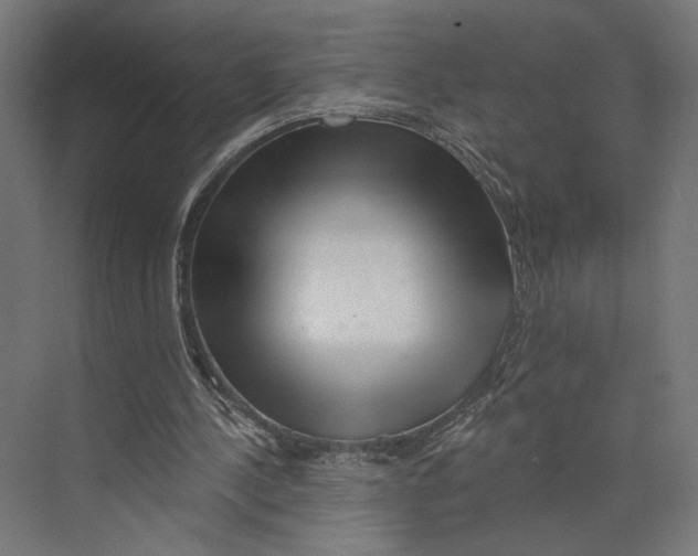 X0000073830244200609071522