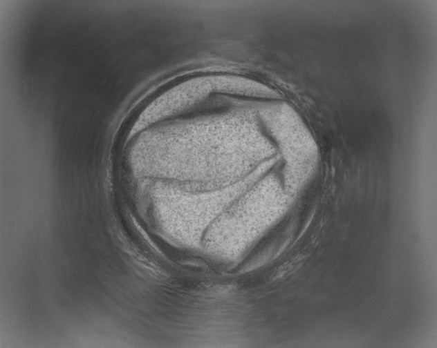 X0000073830247200609071522