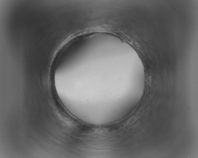 X0000073830248200609071522