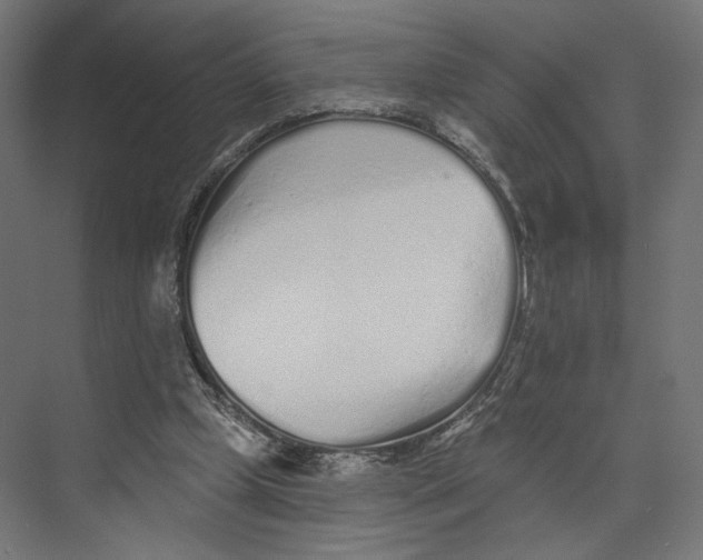 X0000073830249200609071522