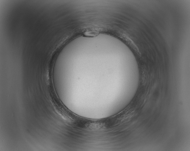 X0000073830251200609071522