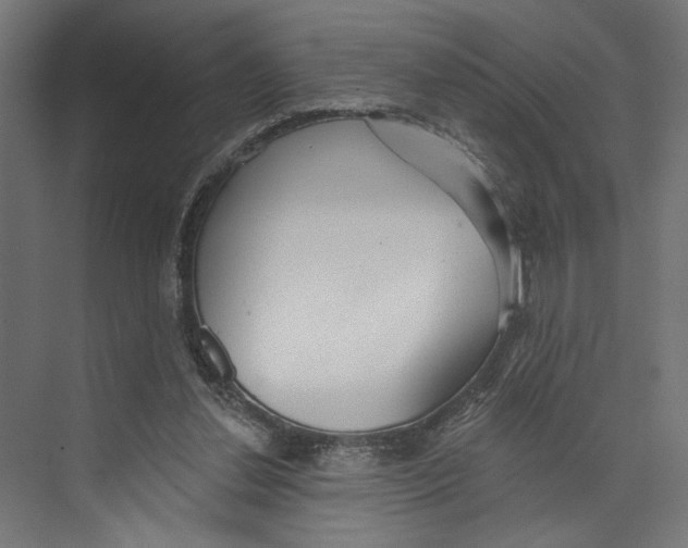 X0000073830252200609071522