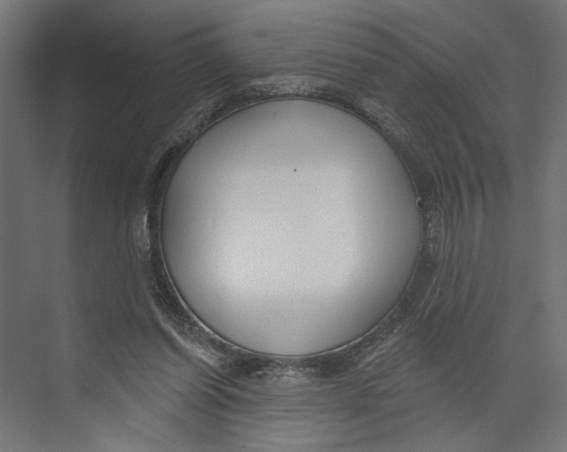 X0000073830254200609071522