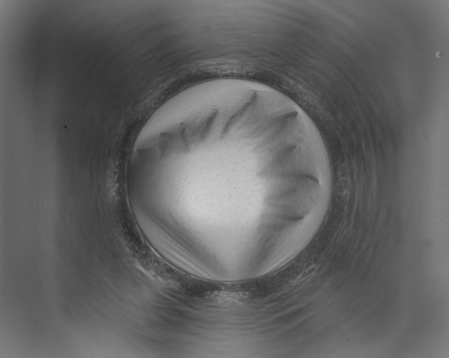 X0000073830255200609071522