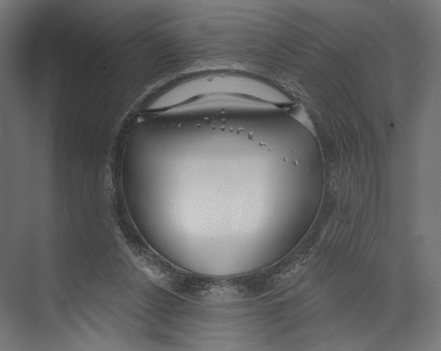 X0000073830256200609071522