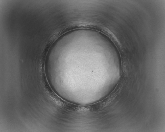 X0000073830257200609071522