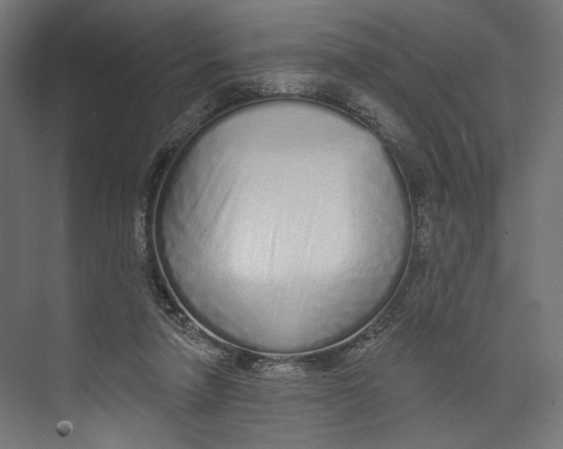 X0000073830258200609071522