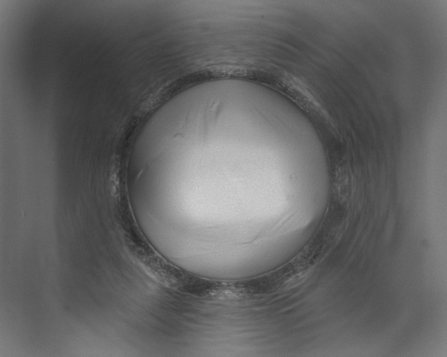 X0000073830259200609071522