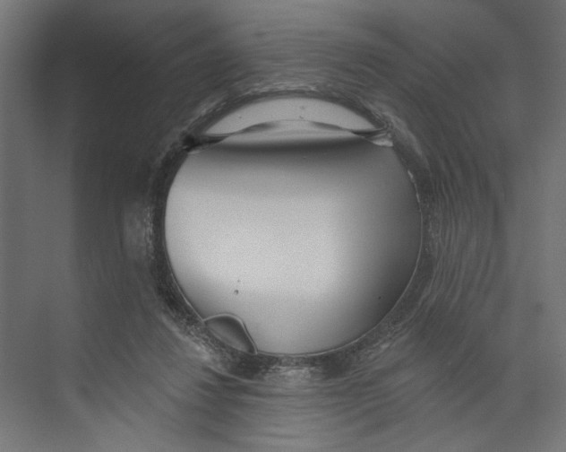 X0000073830260200609071522