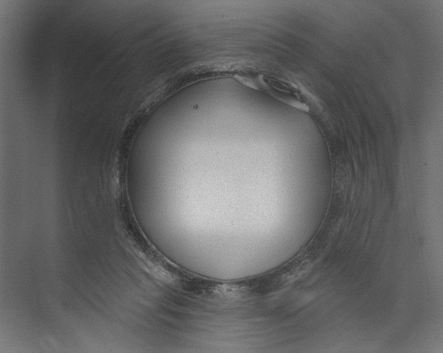 X0000073830261200609071522