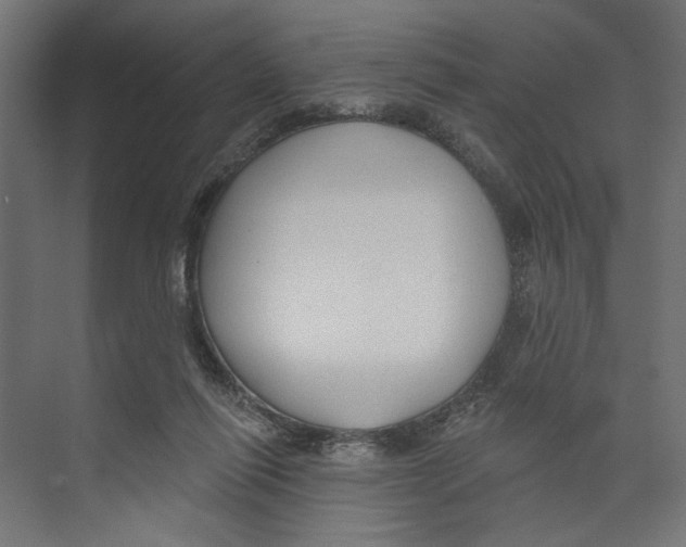 X0000073830262200609071522