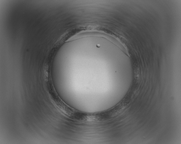 X0000073830264200609071522