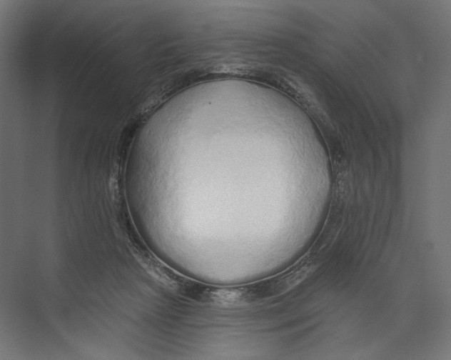 X0000073830265200609071522