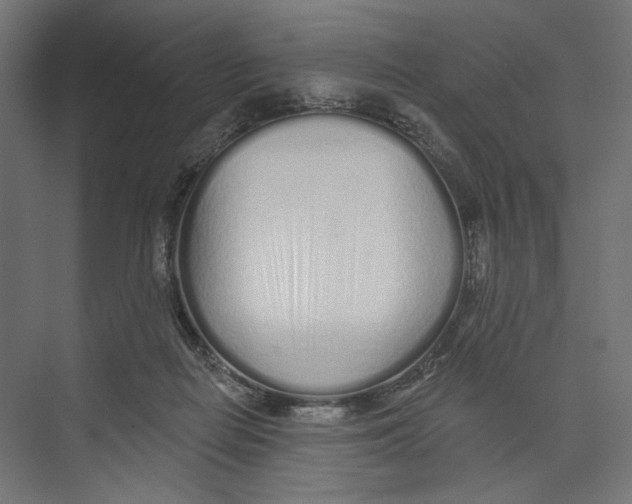 X0000073830266200609071522