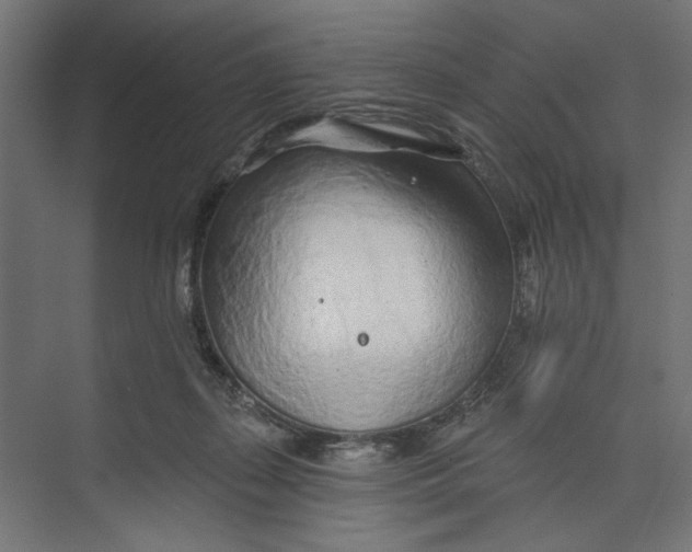 X0000073830267200609071522