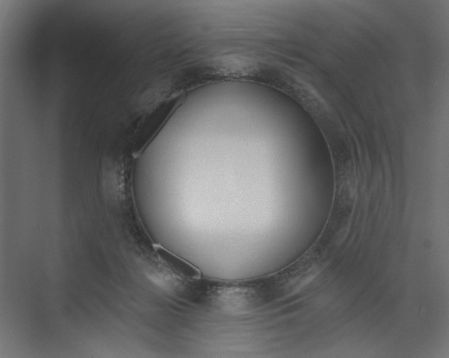 X0000073830268200609071522