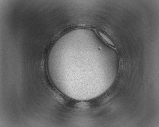 X0000073830269200609071523