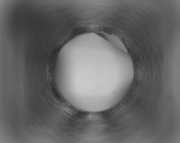 X0000073830270200609071523