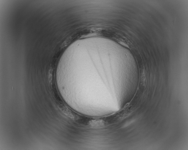 X0000073830271200609071523