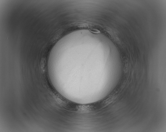 X0000073830273200609071523