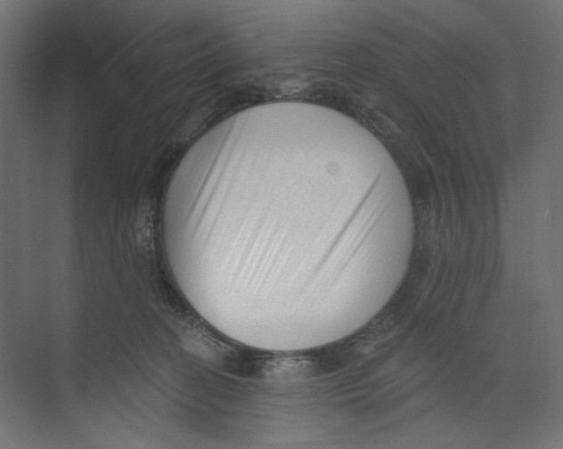 X0000073830274200609071523