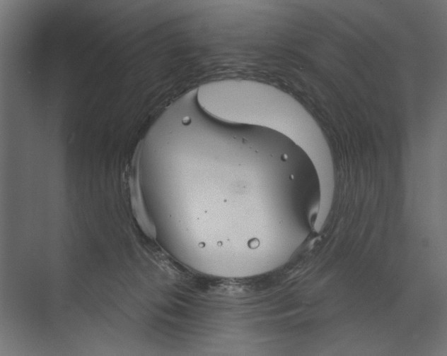 X0000073830276200609071523