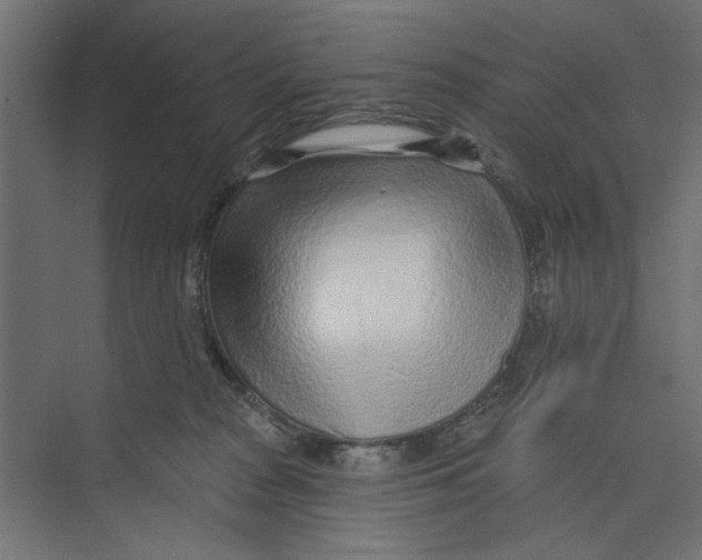 X0000073830277200609071523