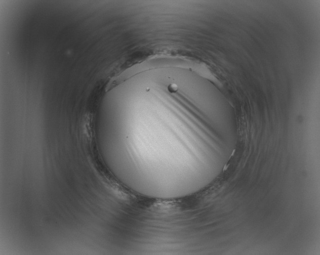 X0000073830280200609071523