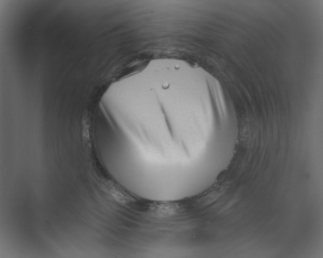 X0000073830282200609071523