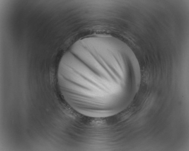 X0000073830283200609071523