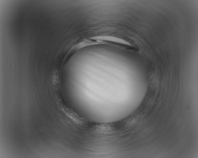 X0000073830284200609071523