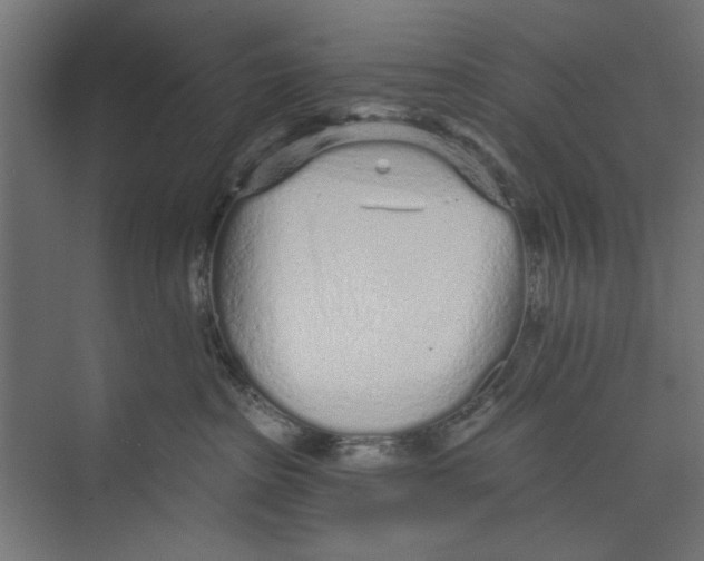 X0000073830285200609071523