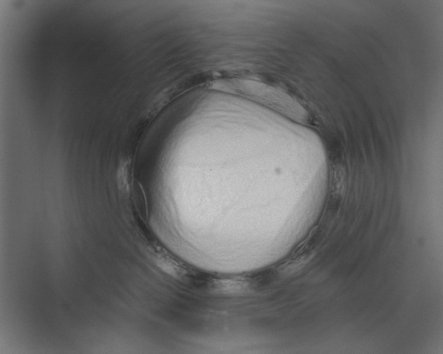 X0000073830286200609071523