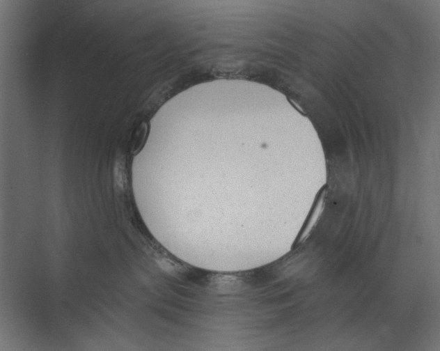 X0000073830287200609071523