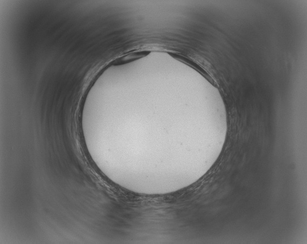 X0000073830289200609071522