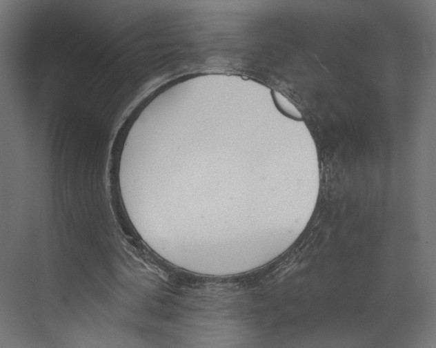 X0000073830292200609071522