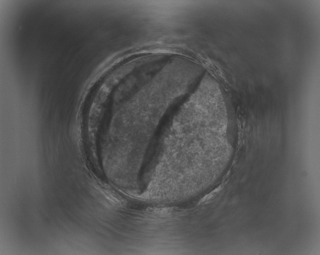 X0000073830295200609071522