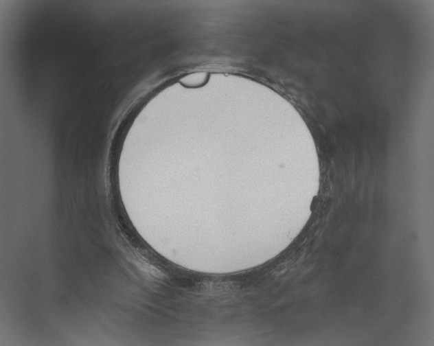 X0000073830296200609071522