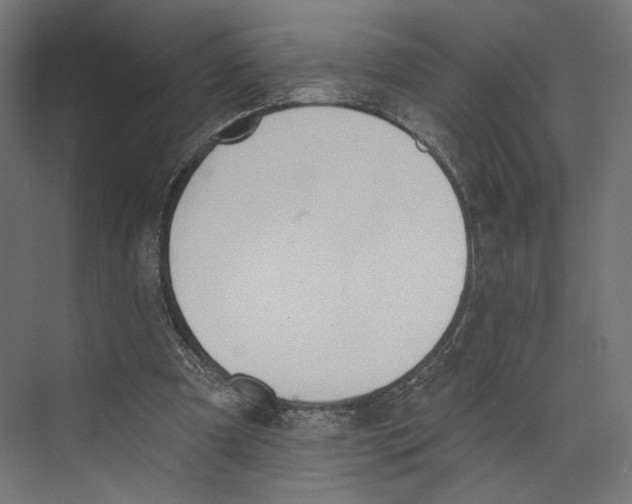 X0000073830297200609071522