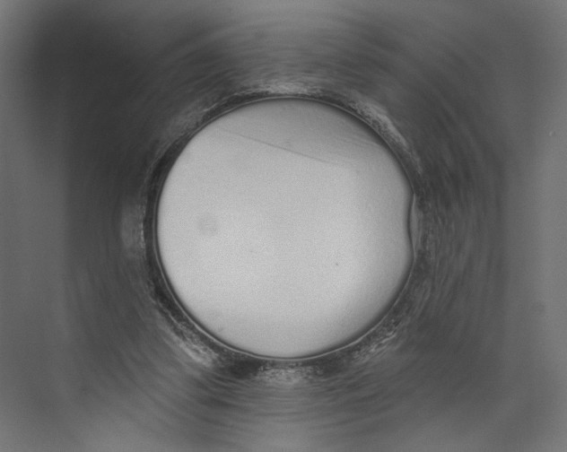 X0000073830299200609071522