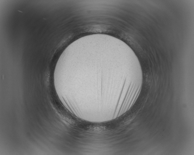 X0000073830304200609071522